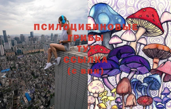 прущие грибы Балахна
