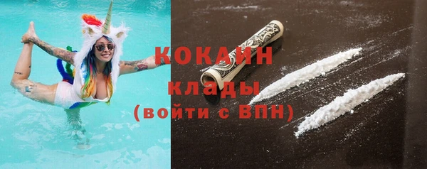 прущие грибы Балахна